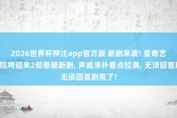 2026世界杯押注app官方版 新剧来袭! 爱奇艺迷雾戏院将迎来2部悬疑新剧， 声威淳朴看点拉满， 无须回首剧荒了!