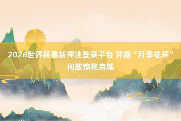 2026世界杯最新押注登录平台 环路“月季花环”何故惊艳京城