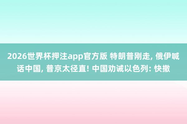 2026世界杯押注app官方版 特朗普刚走， 俄伊喊话中国， 普京太径直! 中国劝诫以色列: 快撤