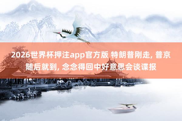 2026世界杯押注app官方版 特朗普刚走， 普京随后就到， 念念得回中好意思会谈谍报