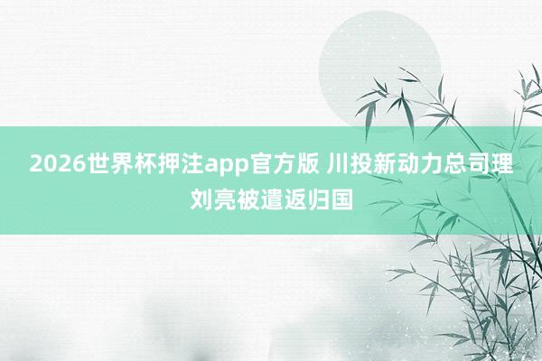 2026世界杯押注app官方版 川投新动力总司理刘亮被遣返归国