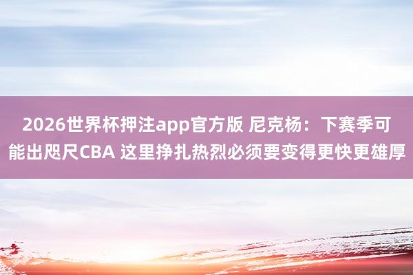 2026世界杯押注app官方版 尼克杨：下赛季可能出咫尺CBA 这里挣扎热烈必须要变得更快更雄厚