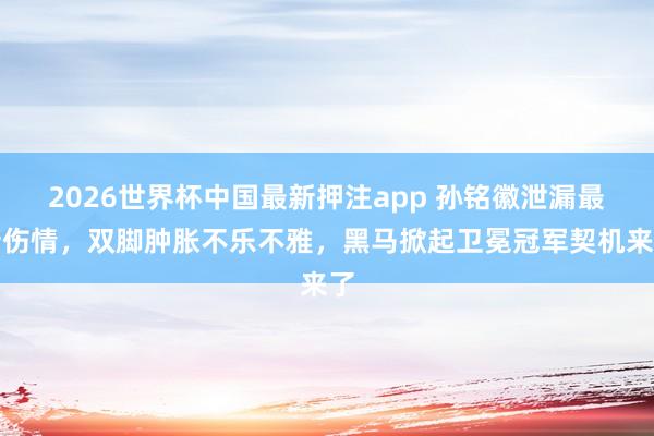 2026世界杯中国最新押注app 孙铭徽泄漏最新伤情，双脚肿胀不乐不雅，黑马掀起卫冕冠军契机来了