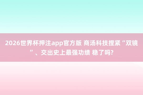 2026世界杯押注app官方版 商汤科技捏紧“双镜”、交出史上最强功绩 稳了吗?