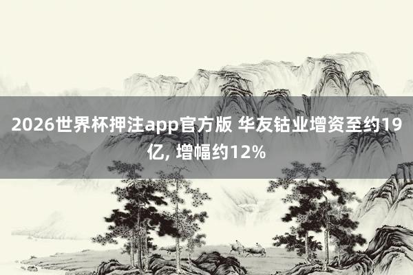 2026世界杯押注app官方版 华友钴业增资至约19亿， 增幅约12%