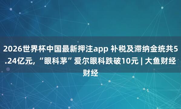 2026世界杯中国最新押注app 补税及滞纳金统共5.24亿元， “眼科茅”爱尔眼科跌破10元 | 大鱼财经