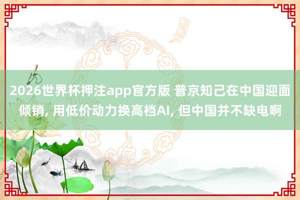 2026世界杯押注app官方版 普京知己在中国迎面倾销， 用低价动力换高档AI， 但中国并不缺电啊
