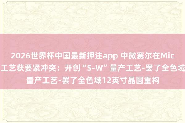 2026世界杯中国最新押注app 中微赛尔在Micro LED量产关节工艺获要紧冲突：开创“S-W”量产工艺-罢了全色域12英寸晶圆重构