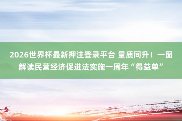 2026世界杯最新押注登录平台 量质同升！一图解读民营经济促进法实施一周年“得益单”