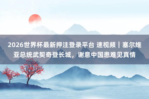 2026世界杯最新押注登录平台 速视频｜塞尔维亚总统武契奇登长城，谢意中国患难见真情