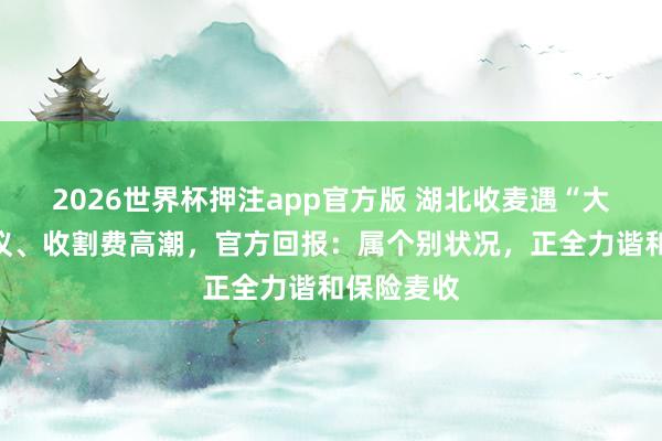 2026世界杯押注app官方版 湖北收麦遇“大小亩”争议、收割费高潮，官方回报：属个别状况，正全力谐和保险麦收