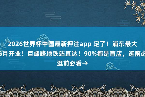 2026世界杯中国最新押注app 定了！浦东最大市集6月开业