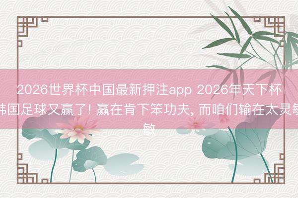 2026世界杯中国最新押注app 2026年天下杯韩国足球又赢了! 赢在肯下笨功夫， 而咱们输在太灵敏