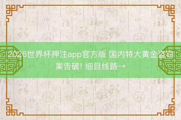 2026世界杯押注app官方版 国内特大黄金盗窃案告破! 细目线路→
