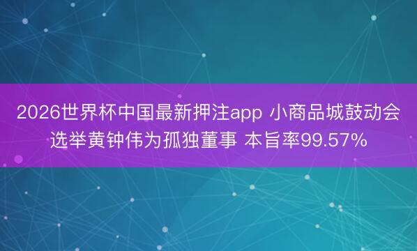 2026世界杯中国最新押注app 小商品城鼓动会选举黄钟伟为孤独董事 本旨率99.57%